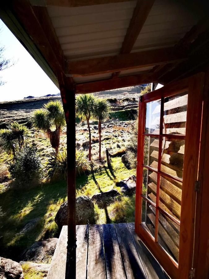 Manaaki Mai, Rustic Retreat Bush Cabin Christchurch Buitenkant foto