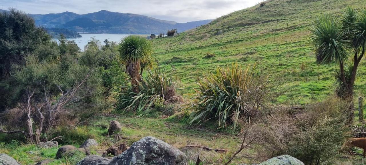 Manaaki Mai, Rustic Retreat Bush Cabin Christchurch Buitenkant foto