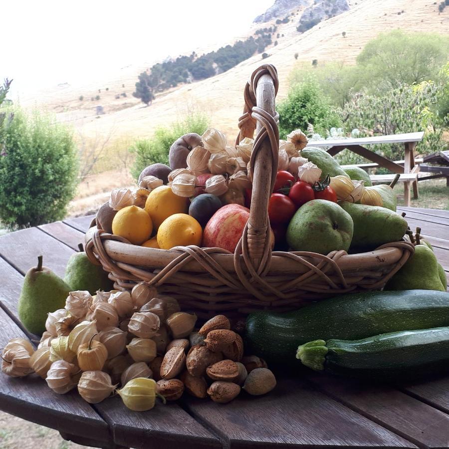 Manaaki Mai, Rustic Retreat Bush Cabin Christchurch Buitenkant foto