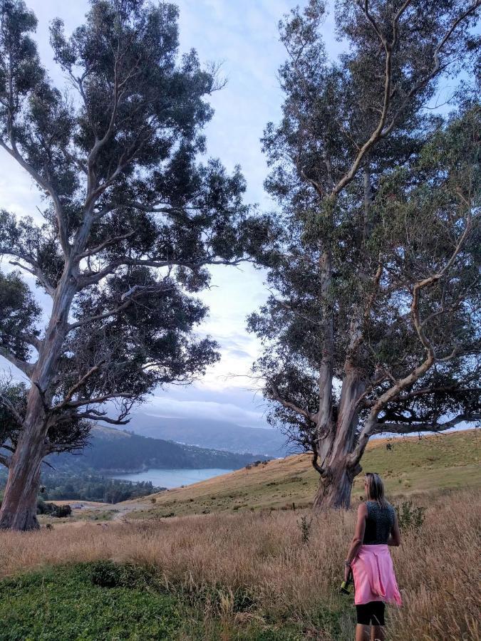 Manaaki Mai, Rustic Retreat Bush Cabin Christchurch Buitenkant foto